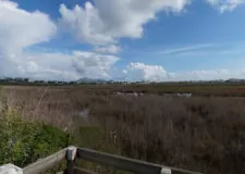 Parque Natural de s'Albufera